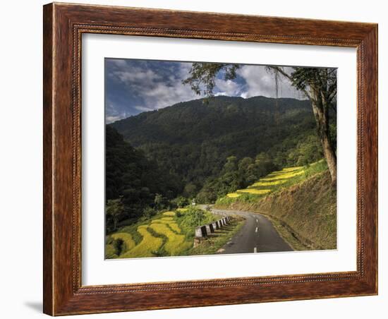 Road to Adventure-Andrew Geiger-Framed Giclee Print