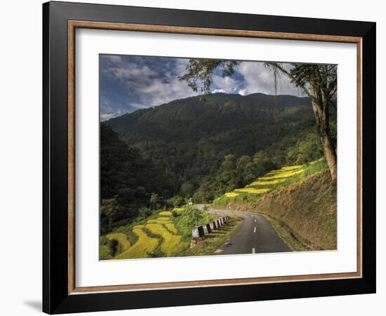 Road to Adventure-Andrew Geiger-Framed Giclee Print