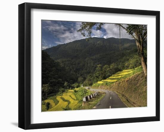 Road to Adventure-Andrew Geiger-Framed Giclee Print