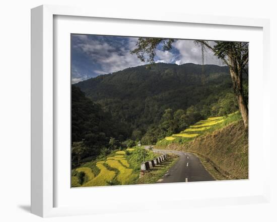 Road to Adventure-Andrew Geiger-Framed Giclee Print