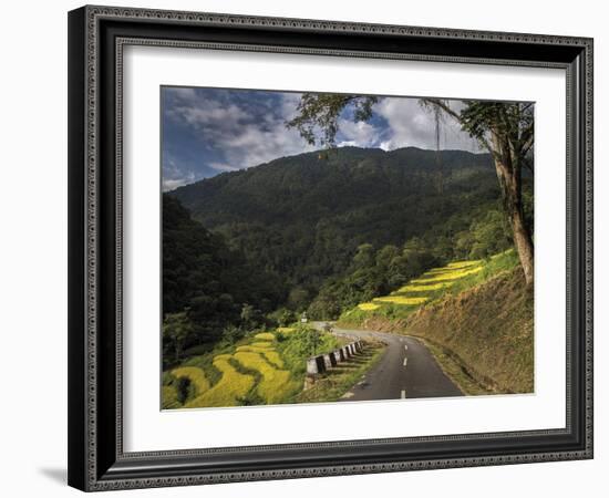 Road to Adventure-Andrew Geiger-Framed Giclee Print