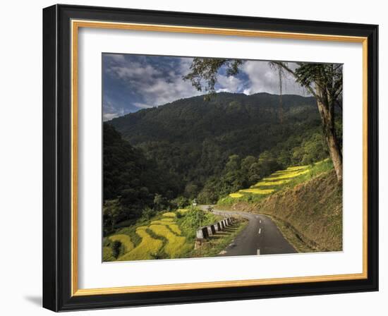 Road to Adventure-Andrew Geiger-Framed Giclee Print