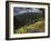 Road to Adventure-Andrew Geiger-Framed Giclee Print