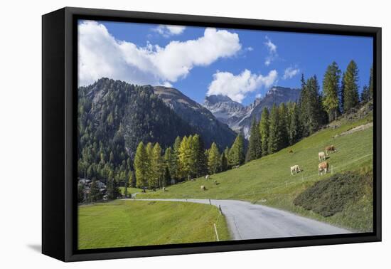 Road to Albula Pass, Graubunden, Swiss Alps, Switzerland, Europe-Angelo Cavalli-Framed Premier Image Canvas