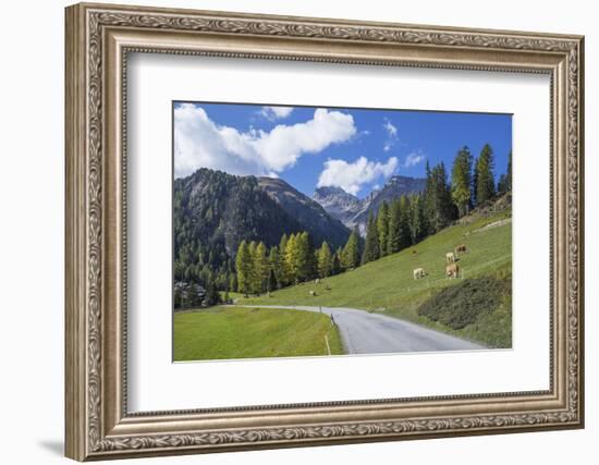 Road to Albula Pass, Graubunden, Swiss Alps, Switzerland, Europe-Angelo Cavalli-Framed Photographic Print