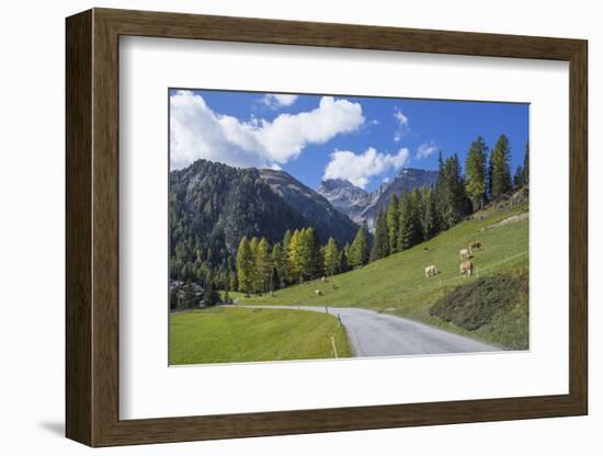 Road to Albula Pass, Graubunden, Swiss Alps, Switzerland, Europe-Angelo Cavalli-Framed Photographic Print