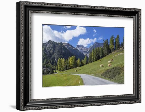 Road to Albula Pass, Graubunden, Swiss Alps, Switzerland, Europe-Angelo Cavalli-Framed Photographic Print