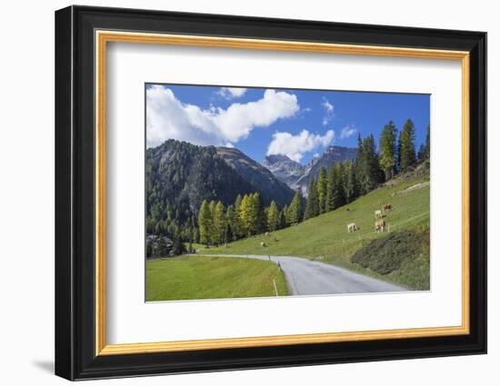 Road to Albula Pass, Graubunden, Swiss Alps, Switzerland, Europe-Angelo Cavalli-Framed Photographic Print