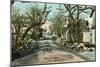 Road to Eastern Point, Gloucester-null-Mounted Art Print