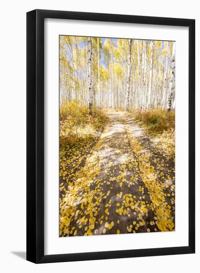 Road To Fall-Dan Ballard-Framed Photographic Print