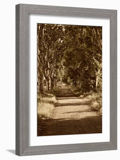 Road to St. Remy-Rachel Perry-Framed Art Print