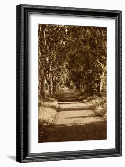 Road to St. Remy-Rachel Perry-Framed Art Print