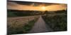 Road To Sunset Valley-István Nagy-Mounted Photographic Print