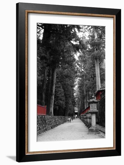 Road To The Temple-NaxArt-Framed Art Print