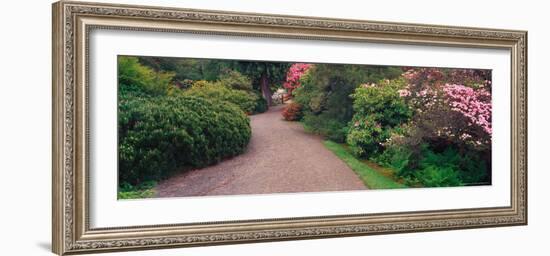 Road Traveling Through Fresh blooms in Spring, Kabota Gardens, Seattle, Washington, USA-Terry Eggers-Framed Photographic Print