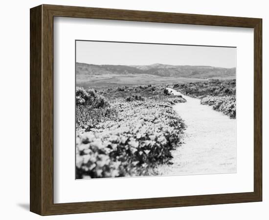 Road Trip VI Crop-Elizabeth Urquhart-Framed Photographic Print