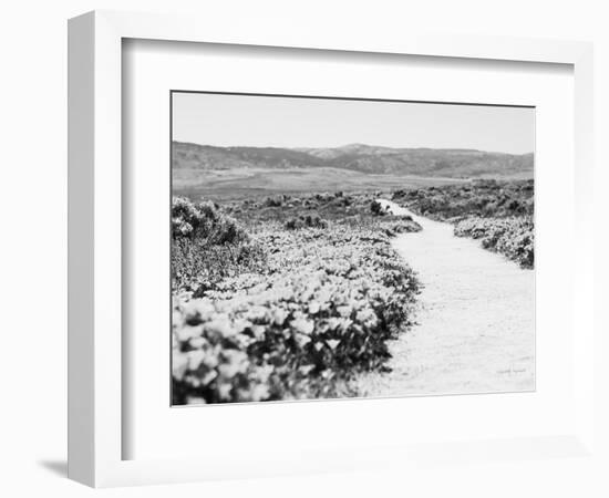 Road Trip VI Crop-Elizabeth Urquhart-Framed Photographic Print
