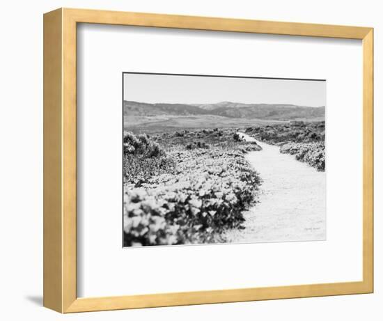 Road Trip VI Crop-Elizabeth Urquhart-Framed Photographic Print