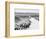 Road Trip VI Crop-Elizabeth Urquhart-Framed Photographic Print