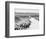 Road Trip VI Crop-Elizabeth Urquhart-Framed Photographic Print