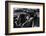 Road Warrior-jazzman239-Framed Photographic Print