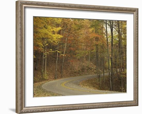 Road Winding Through Autumn Colors, Pine Mountain State Park, Kentucky, USA-Adam Jones-Framed Photographic Print