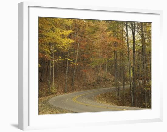 Road Winding Through Autumn Colors, Pine Mountain State Park, Kentucky, USA-Adam Jones-Framed Photographic Print