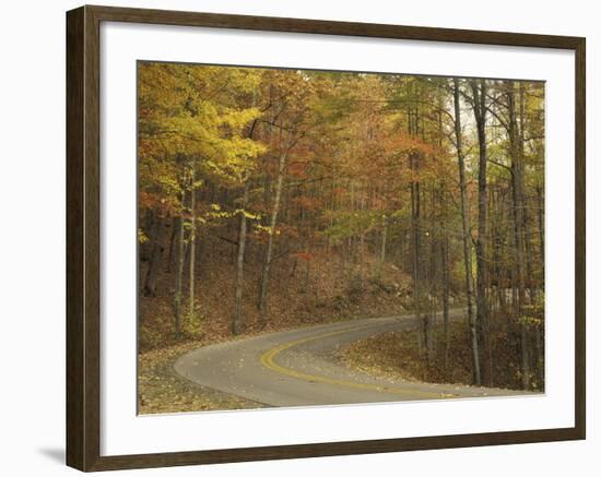 Road Winding Through Autumn Colors, Pine Mountain State Park, Kentucky, USA-Adam Jones-Framed Photographic Print