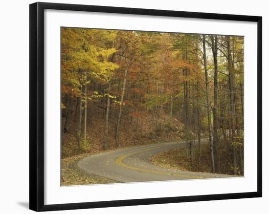 Road Winding Through Autumn Colors, Pine Mountain State Park, Kentucky, USA-Adam Jones-Framed Photographic Print