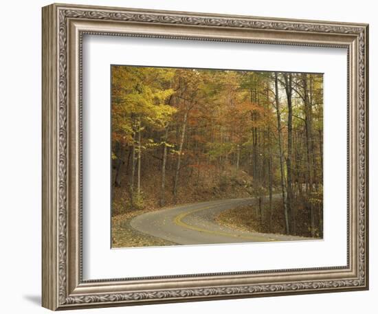 Road Winding Through Autumn Colors, Pine Mountain State Park, Kentucky, USA-Adam Jones-Framed Photographic Print