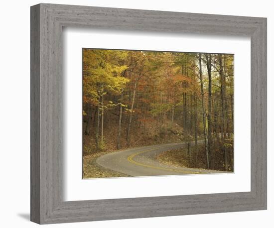 Road Winding Through Autumn Colors, Pine Mountain State Park, Kentucky, USA-Adam Jones-Framed Photographic Print