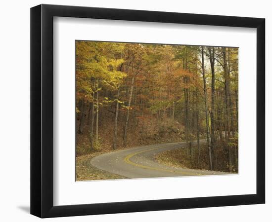 Road Winding Through Autumn Colors, Pine Mountain State Park, Kentucky, USA-Adam Jones-Framed Photographic Print