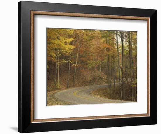 Road Winding Through Autumn Colors, Pine Mountain State Park, Kentucky, USA-Adam Jones-Framed Photographic Print