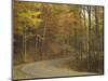 Road Winding Through Autumn Colors, Pine Mountain State Park, Kentucky, USA-Adam Jones-Mounted Photographic Print