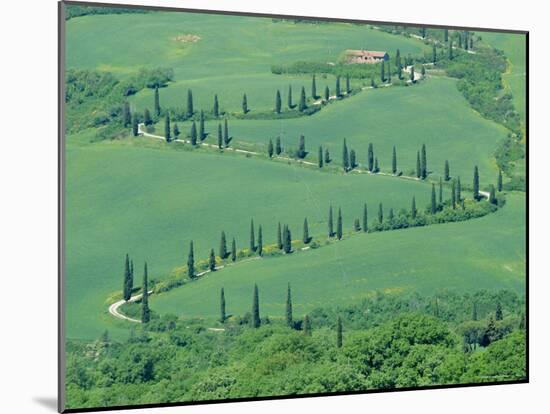 Road Winding up Hillside, Orcia Valley, Tuscany, Italy, Europe-Bruno Morandi-Mounted Photographic Print