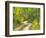 Road with Autumn Colors and Aspens in Kebler Pass, Colorado, USA-Julie Eggers-Framed Photographic Print