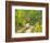 Road with Autumn Colors and Aspens in Kebler Pass, Colorado, USA-Julie Eggers-Framed Photographic Print