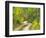 Road with Autumn Colors and Aspens in Kebler Pass, Colorado, USA-Julie Eggers-Framed Photographic Print