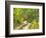 Road with Autumn Colors and Aspens in Kebler Pass, Colorado, USA-Julie Eggers-Framed Photographic Print