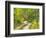 Road with Autumn Colors and Aspens in Kebler Pass, Colorado, USA-Julie Eggers-Framed Photographic Print