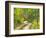 Road with Autumn Colors and Aspens in Kebler Pass, Colorado, USA-Julie Eggers-Framed Photographic Print