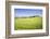 Road with Cypresses and Farmhouse. Orcia Valley, Siena District, Tuscany, Italy.-ClickAlps-Framed Photographic Print