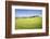 Road with Cypresses and Farmhouse. Orcia Valley, Siena District, Tuscany, Italy.-ClickAlps-Framed Photographic Print