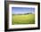 Road with Cypresses and Farmhouse. Orcia Valley, Siena District, Tuscany, Italy.-ClickAlps-Framed Photographic Print