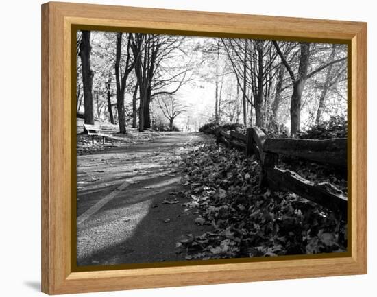 Road with Leaves on Ground-Sharon Wish-Framed Premier Image Canvas