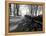 Road with Leaves on Ground-Sharon Wish-Framed Premier Image Canvas