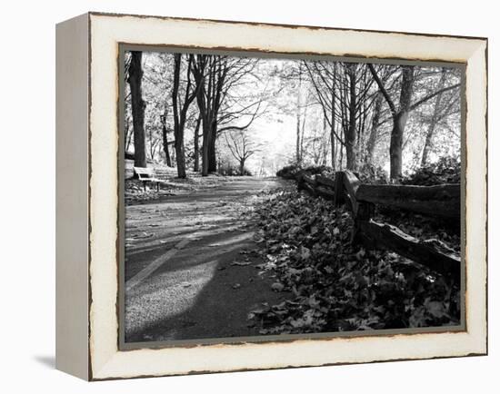 Road with Leaves on Ground-Sharon Wish-Framed Premier Image Canvas