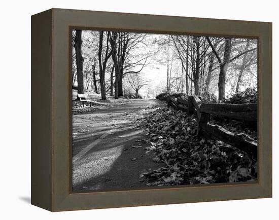 Road with Leaves on Ground-Sharon Wish-Framed Premier Image Canvas