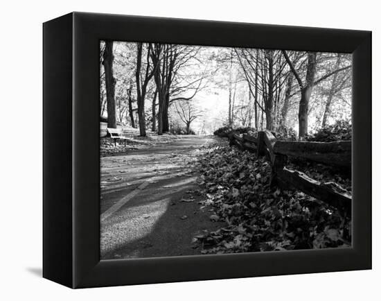 Road with Leaves on Ground-Sharon Wish-Framed Premier Image Canvas