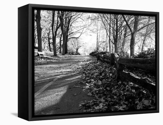 Road with Leaves on Ground-Sharon Wish-Framed Premier Image Canvas